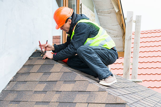 Best Roof Gutter Cleaning  in Mapleton, UT